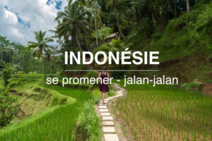 sleeder Indonésie application antisèche Bahasa Indonesia